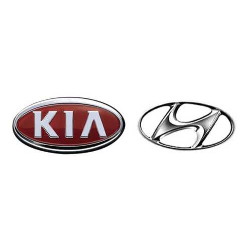 Форсунка омывателя Hyundai-KIA 986304E000 в Газпромнефть